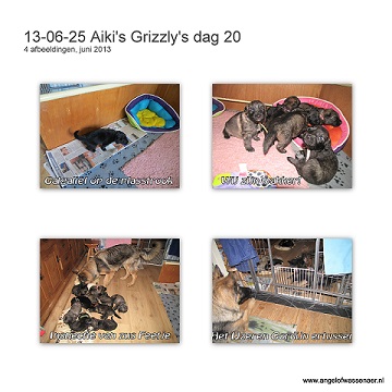 Aiki's Grizzly's dag 20 alweer